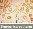 Biographical pathways