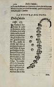 Tavola tratta da: Garcia de Orta, Dell&rsquo;historia de i semplici aromati &hellip; con alcune breui annotationi di Carlo Clusio&hellip; Venezia, 1605