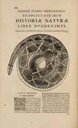 Tavola tratta da: Juan Eusebio Nieremberg, &hellip; accedunt de miris et miraculosis naturis in Europ&acirc; libri duo: item de iisdem in terr&acirc; Hebraeis promiss&acirc; liber vnus. Anversa, 1635
