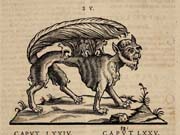 Tavola tratta da: Juan Eusebio Nieremberg, &hellip; accedunt de miris et miraculosis naturis in Europ&acirc; libri duo: item de iisdem in terr&acirc; Hebraeis promiss&acirc; liber vnus. Anversa, 1635