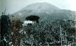 fotografia
